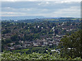 Bromyard viewed from the Bromyard Downs