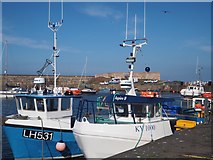 NT6779 : Fishing Boats in Victoria Harbour Dunbar by Jennifer Petrie