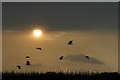 Sunset between thunderstorms, Grange Lane, Ashton Hayes