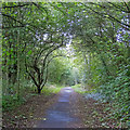 Footpath near Weald Road, Brentwood