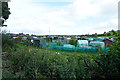 SK1646 : Ashbourne allotments by Malcolm Neal