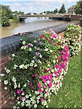 TF4609 : Flowers and Freedom Bridge in Wisbech by Richard Humphrey
