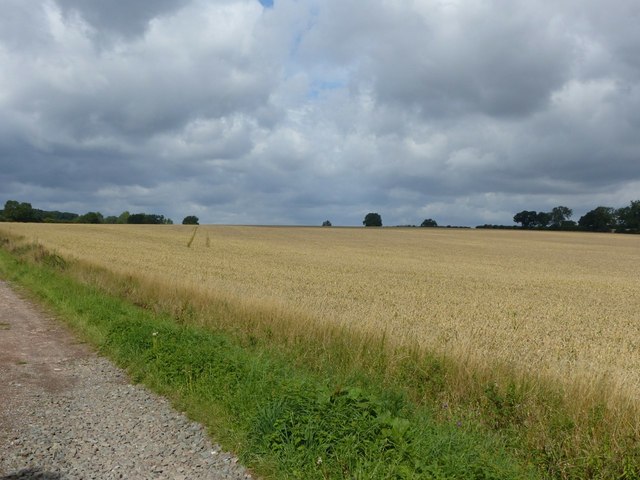 Stoke Field Battlefield © Alan Murray-Rust cc-by-sa/2.0 :: Geograph ...