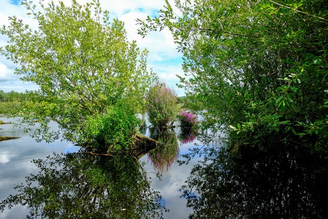 Blakemere Moss, Delamere Forest © Jeff Buck :: Geograph Britain And Ireland