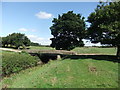 Farm bridge, Louth Canal