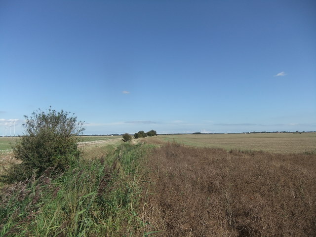 Fen land near High Bridge © David Brown :: Geograph Britain and Ireland