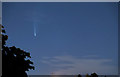 Neowise Comet, London N14