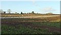 Arable field near Farrington Gurney