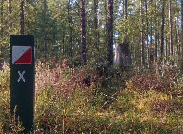 Orienteering course marker post, Quarrelwood, Morayshire