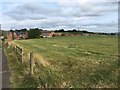 Field adjacent to Spen Road