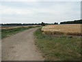 Track on the north bank of the Old River Slea