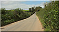 Road near Horner Tongue