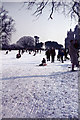 SK5339 : Fun in the snow - Wollaton Park by Stephen McKay