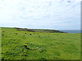 Trac Mon - Anglesey Motor Racing Circuit