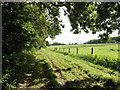 Path to Wrington Hill