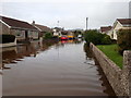 J3731 : View NE along the flooded Elmgrove Park by Eric Jones