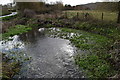 Stream entering a small pond