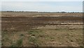 Farmland on the south side of Littleworth Drove