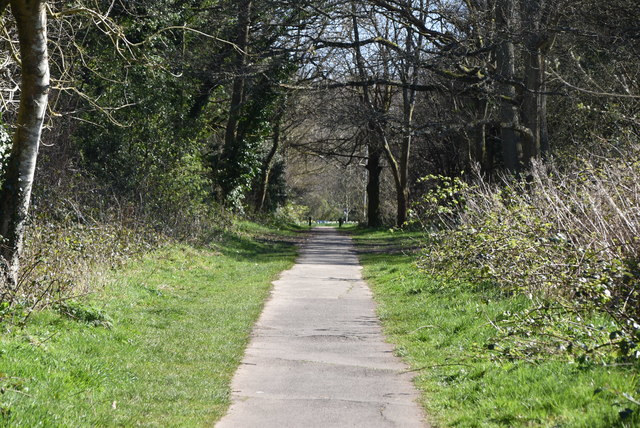 Tunbridge Wells Circular Walk link path, Rusthall Common