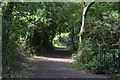 Footpath along Bents Brook