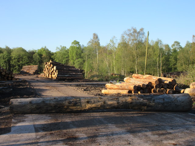 Logs at Ladywell Sawmill