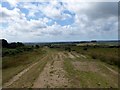 Track, Ashdown Forest