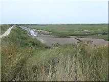 TF7544 : Volunteer marsh, RSPB Titchwell by Christine Johnstone