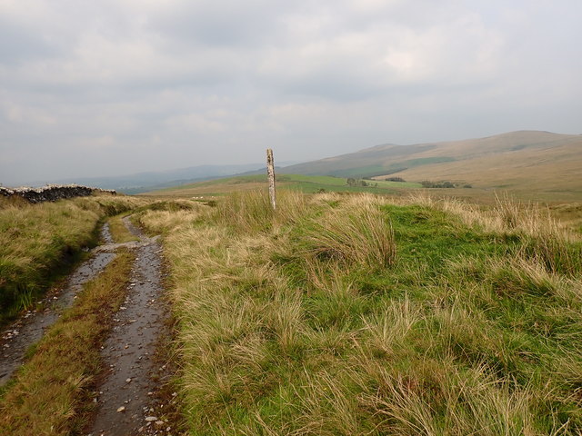 The rough track across the Migneint
