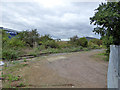 Abandoned railway, Northampton