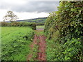 Llwybr ger Coed-wgan-fach / A path near Coed-wgan-fach