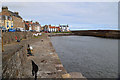 Cellardyke Harbour, Fife