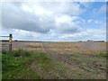 Track across field near Greenford Farm