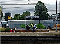 TL2412 : Welwyn Garden City : station gardeners by Jim Osley