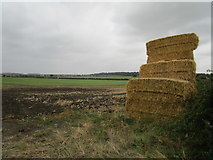 SK7429 : Straw bales and Harby Hills by Jonathan Thacker