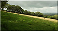 Grass field near Newhouse