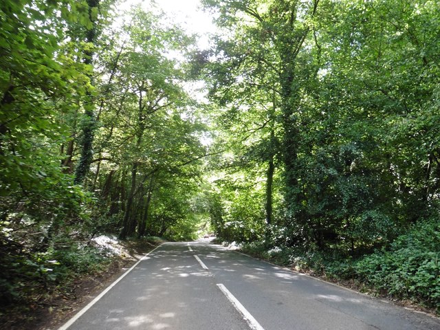 Brockley Combe Road Roger Cornfoot cc by sa 2.0 Geograph