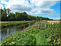 On the riverside path near Gatehead