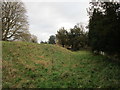 Castle ringwork, Culworth