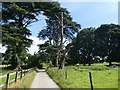 Cedars, Frampton Park