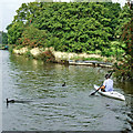 Kayaking on the Macclesfield Canal