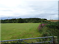 Grassland and woodland near Three Acres