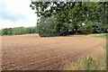 Tilled field of Leazes Lane