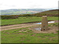 ST1438 : Black Hill trig point, near Crowcombe by Malc McDonald