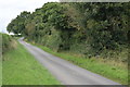 Farley Mount Road climbing past Little Pittdown Plantation