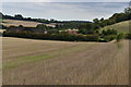 View over Berrydown Farm