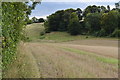 SU4027 : Field at Berrydown Farm by David Martin