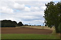 Fields and woods north of Rectory Road