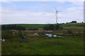 Wetland, Clayfords