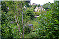 Bath : Lyncombe Vale Allotments