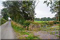 Rose Ash : Country Lane